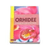 Orhidee . Crescute in casa si in birou - Alfons Burger nn