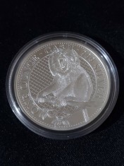 Sf. Elena 2023 &ndash; o liră - macac Rhesus, maimuță - 1 OZ - Monedă de argint