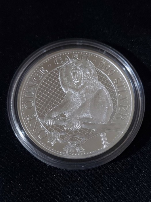 Sf. Elena 2023 &ndash; o liră - macac Rhesus, maimuță - 1 OZ - Monedă de argint