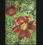 Cumpara ieftin TERMINOLOGIA BOTANICĂ CREȘTINĂ LA POPORUL ROM&Acirc;N - TERESIA B. TĂTARU