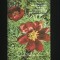TERMINOLOGIA BOTANICĂ CREȘTINĂ LA POPORUL ROM&Acirc;N - TERESIA B. TĂTARU
