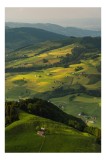 Tablou Canvas, "Panorama colinelor verzi sub soare", Peisaj, Coline, Căsuțe, Natura, Verdeață, Lumină, Serenitate, Dealuri, Pajiști, Rural., 26 x 39 c