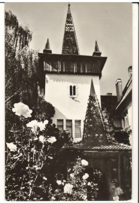 CPIB 22171 - CARTE POSTALA - SFANTU GHEORGHE. MUZEUL foto