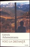 VOCI LA DISTANTA-GABRIELA ADAMESTEANU-351295