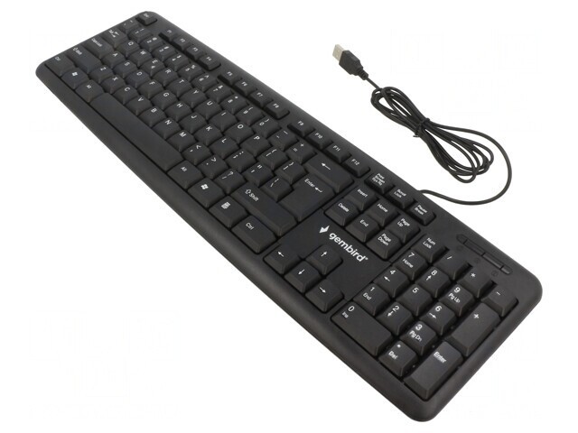 Tastatură USB Neagră cu Cablu 1,5m Layout US