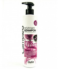 Sampon nuantator Delia Cameleo Pink Effect pentru par blond si gri, 250 ml foto