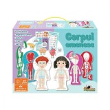 Cumpara ieftin Noriel puzzle - Corpul omenesc