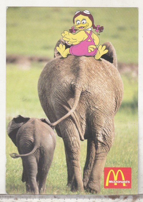 bnk cp Carte postala promotionala McDonalds - elefanti - necirculata