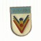 AMS# - INSIGNA DACIADA RSR, VARIANTA MARE, 24 mm