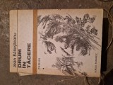 Drum &icirc;n tăcere vintage