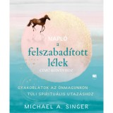 Napl&oacute; a Felszabad&iacute;tott l&eacute;lek c&iacute;mű k&ouml;nyvh&ouml;z - Gyakorlatok az &ouml;nmagunkon t&uacute;li spiritu&aacute;lis utaz&aacute;shoz - Michael A. Singer