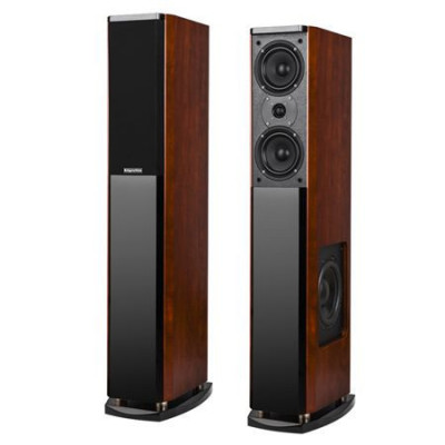 SISTEM AUDIO 2.0 PASSION KRUGER&amp;amp;MATZ foto