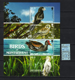 Caraibe, Montserrat, 2009 | Păsări indigene - Natură, animale | Bloc - MNH | aph, Fauna, Nestampilat