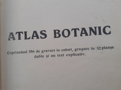 ATLAS BOTANIC CU 586 GRAVURI IN CULORI, GRUPATE IN 42 PLANSE-1930 R1. foto