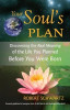 Your Soul&#039;s Plan: Discovering the Real Meaning of the Life You Planned Before You Were Born