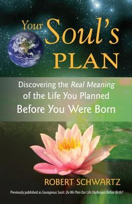 Your Soul&amp;#039;s Plan: Discovering the Real Meaning of the Life You Planned Before You Were Born foto