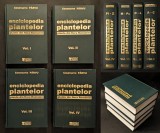 rara ENCICLOPEDIA PLANTELOR din ROMANIA C. Parvu BOTANICA Plante Flora Romaniei A-Z editie completa 4 VOLUME bogat ilustrate EDITURA TEHNICA Medicina