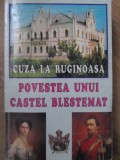 CUZA LA RUGINOASA. POVESTEA UNUI CASTEL BLESTEMAT-THEODOR RASCANU