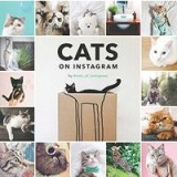 Cats on Instagram