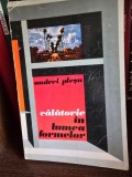 CALATORIE IN LUMEA FORMELOR - ANDREI PLESU