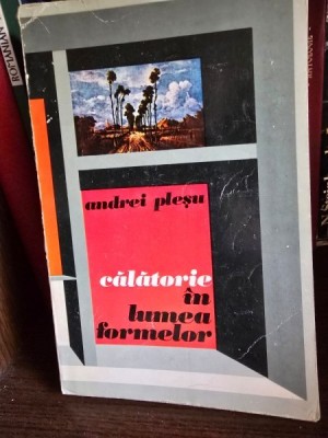 CALATORIE IN LUMEA FORMELOR - ANDREI PLESU foto