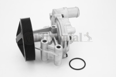 CONTINENTAL CTAM WPS3081 Pompă de apă, răcire motor foto