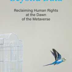 Beyond Data: Reclaiming Human Rights at the Dawn of the Metaverse