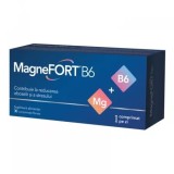 MAGNEFORT B6 30CPR