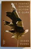 Pe păm&acirc;nt suntem strălucitori o clipă - Ocean Vuong