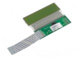 Afişaj LCD Alfanumeric 16x2 STN Pozitiv 23.3x66.6mm