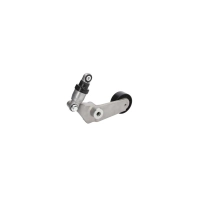 Intinzator curea TOYOTA RAV 4 II CLA2 XA2 ZCA2 ACA2 BTA E22008BTA foto