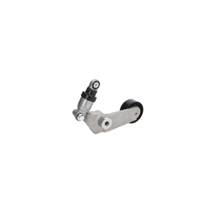 Intinzator curea TOYOTA RAV 4 II CLA2 XA2 ZCA2 ACA2 BTA E22008BTA