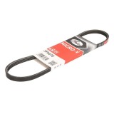 Curea transmisie caneluri Kia Carens 2 (2002-2006) FJ 3PK675