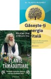 Pachet Vitalitate din natura - Bookzone