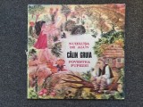 NUIELUSA DE ALUN * POVESTEA PUPEZEI - Calin Gruia (VINIL)
