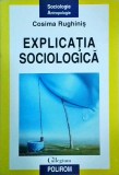 Cosima Rughinis - Explicatia sociologica