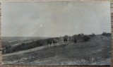 Militari romani in galop, perioada interbelica// fotografie, Romania 1900 - 1950, Portrete