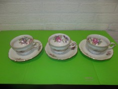 Portelan SCHWARZENHAMMER , set de 3 CESTI decorate in teme florale