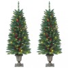 Brazi de Crăciun artificiali 2 buc. 100 LED-uri verde 120 cm