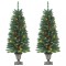 Brazi de Crăciun artificiali 2 buc. 100 LED-uri verde 120 cm