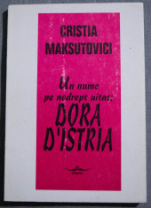 Cristia Maksutovici - Un nume pe nedrept uitat: Dora D&amp;#039;Istria (Elena Ghica) foto