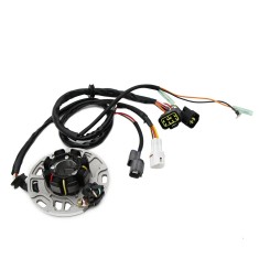 Stator alternator KX250 K5 1998 bobina A980