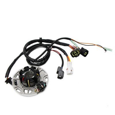 Stator alternator KX250 K5 1998 bobina A980 foto
