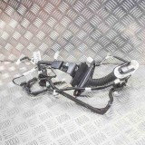 Cablaj ușă st&acirc;nga față TOYOTA C-HR _X1_ 2019 OEM: AB152-F4400 11734571