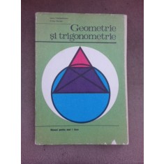 Geometrie si trigonometrie - Laura Constantinescu Manual anu I liceu