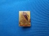 INSIGNASARITURI LA TRAMBULINA SCIU-RUSIA