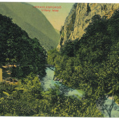 3086 - BAILE HERCULANE, Romania - old postcard - used - 1916