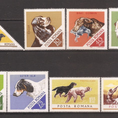 Romania 1965, LP 620 - Caini de vanatoare, MNH