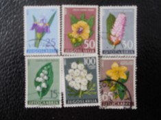 Serie timbre flora flori plante Iugoslavia stampilate timbre filatelice postale foto