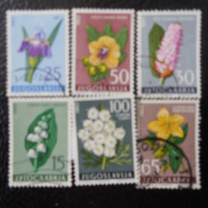 Serie timbre flora flori plante Iugoslavia stampilate timbre filatelice postale